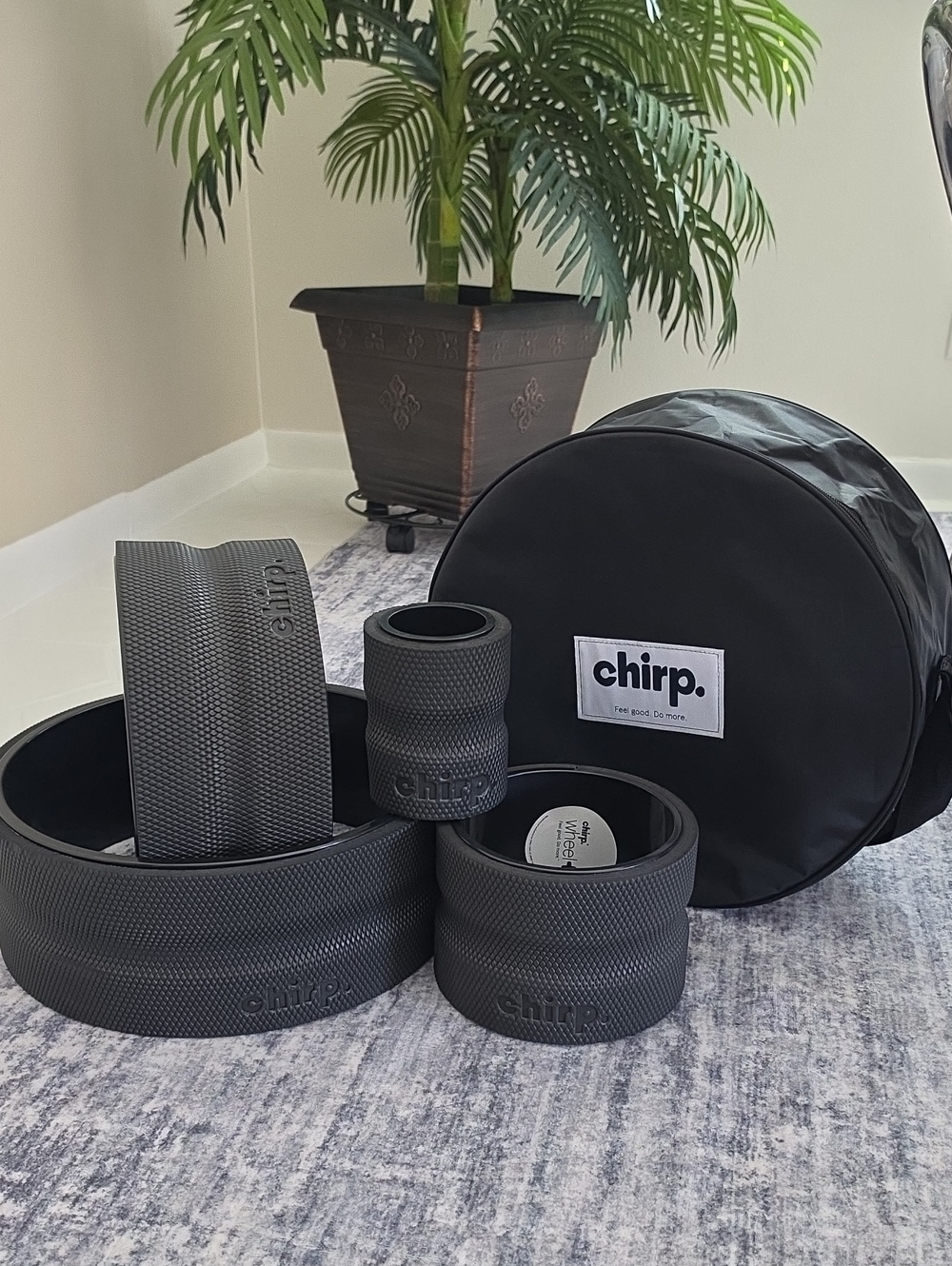 Chirp Reflexology Black Foam Roller Set with Carry Bag